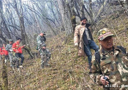 森林火灾 森林火灾