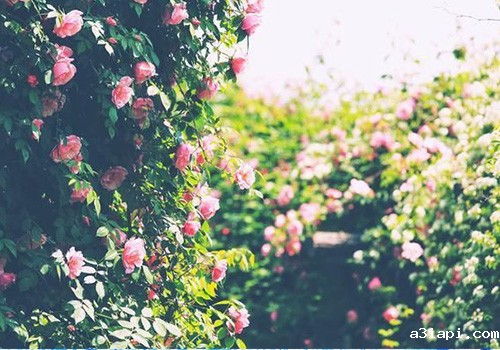 优米娱乐有限公司地址查询官网环保